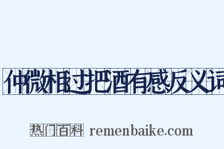 仲微相过把酒有感反义词是什么意思的图片
